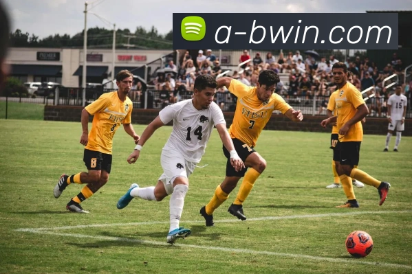 Bwin必赢官网平台生态图