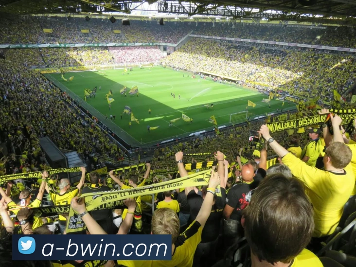 Bwin必赢官网APP 封面图